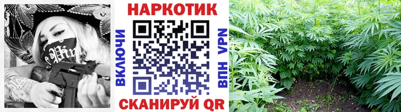 Магазины продажи наркотиков Кулебаки ГАШИШ  Alpha-PVP  АМФЕТАМИН  Мефедрон 