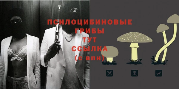 бошки Аркадак