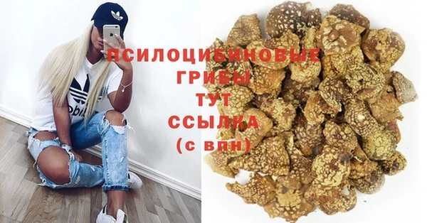 ECSTASY Протвино