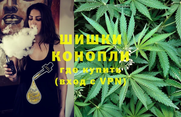 бошки Аркадак