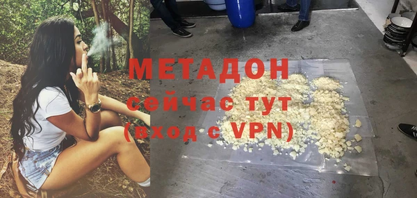 прущие грибы Армянск