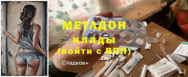 прущие грибы Армянск
