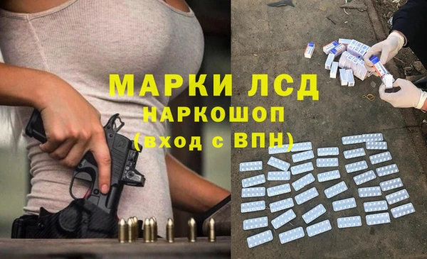 прущие грибы Армянск