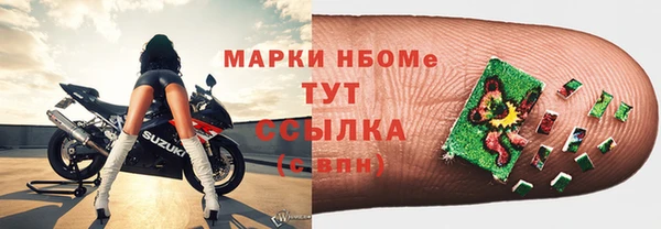 прущие грибы Армянск