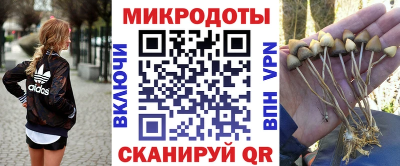 Псилоцибиновые грибы Magic Shrooms  Кулебаки 